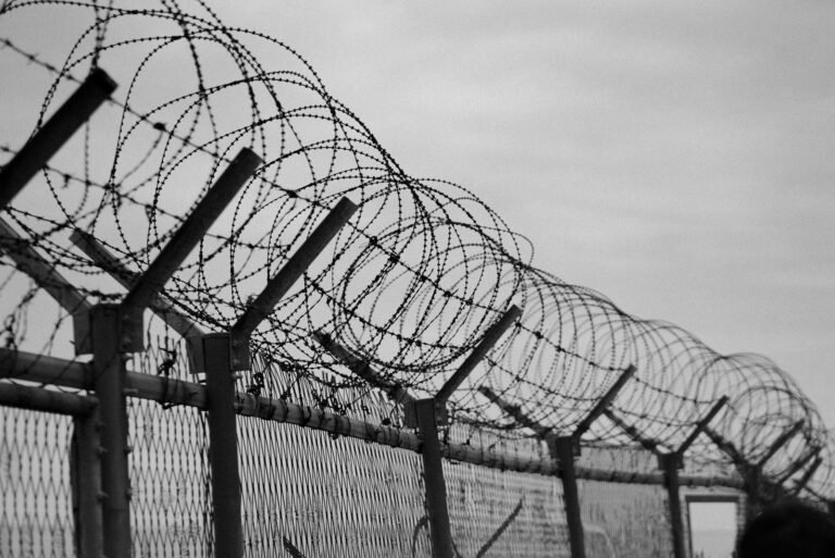 Dr. Scott Lee lawsuit: grayscale view of a tall metal security fence with wire