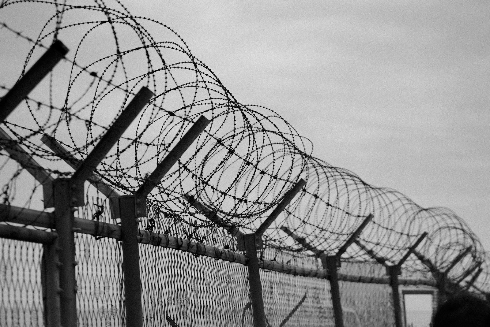 Grayscale view of a tall metal security fence with wire