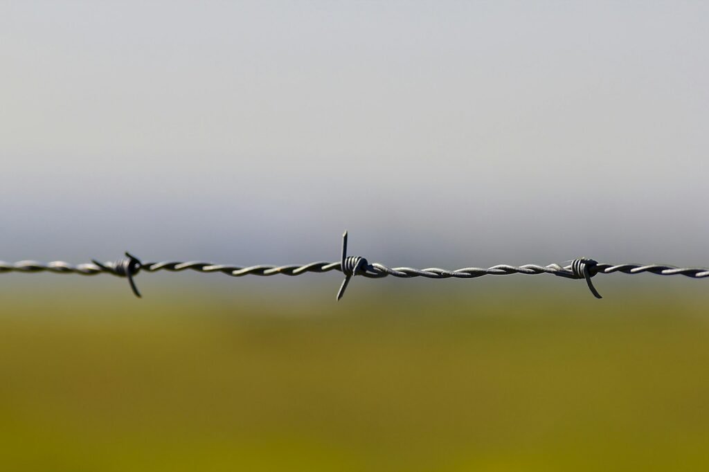 Dr. Scott Lee lawsuit: close-up of gray barbed wire against a pale sky