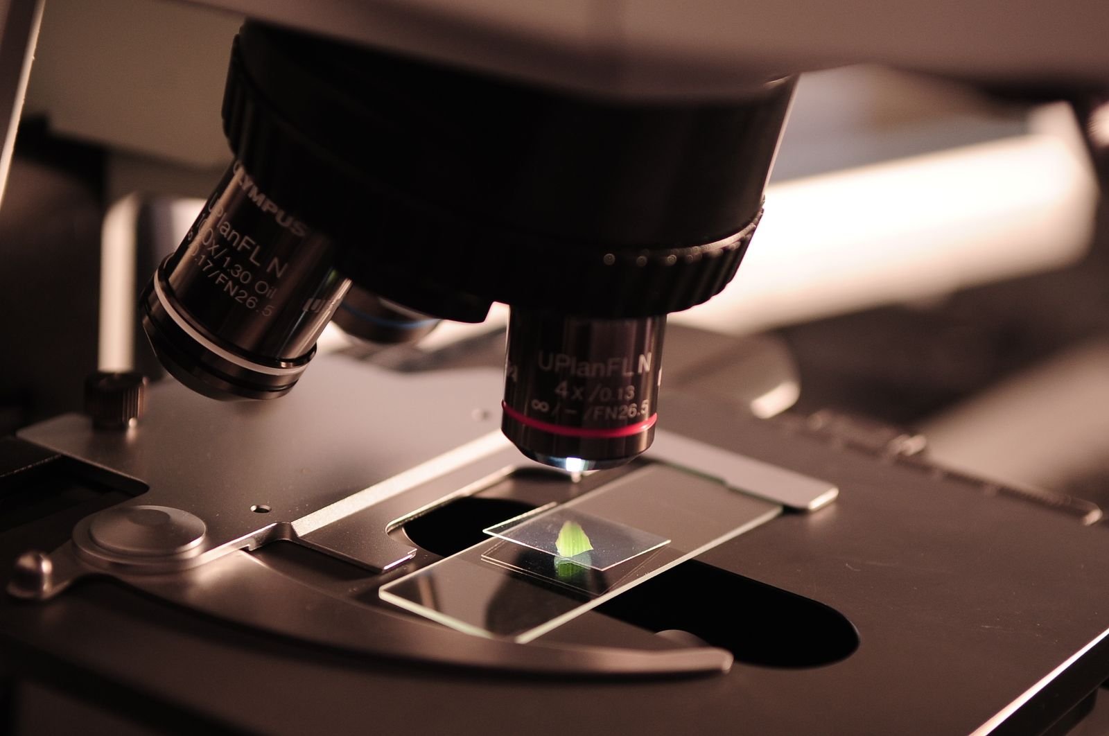 Close-up of a microscope with a glass slide in place, as used to examine a skin biopsy