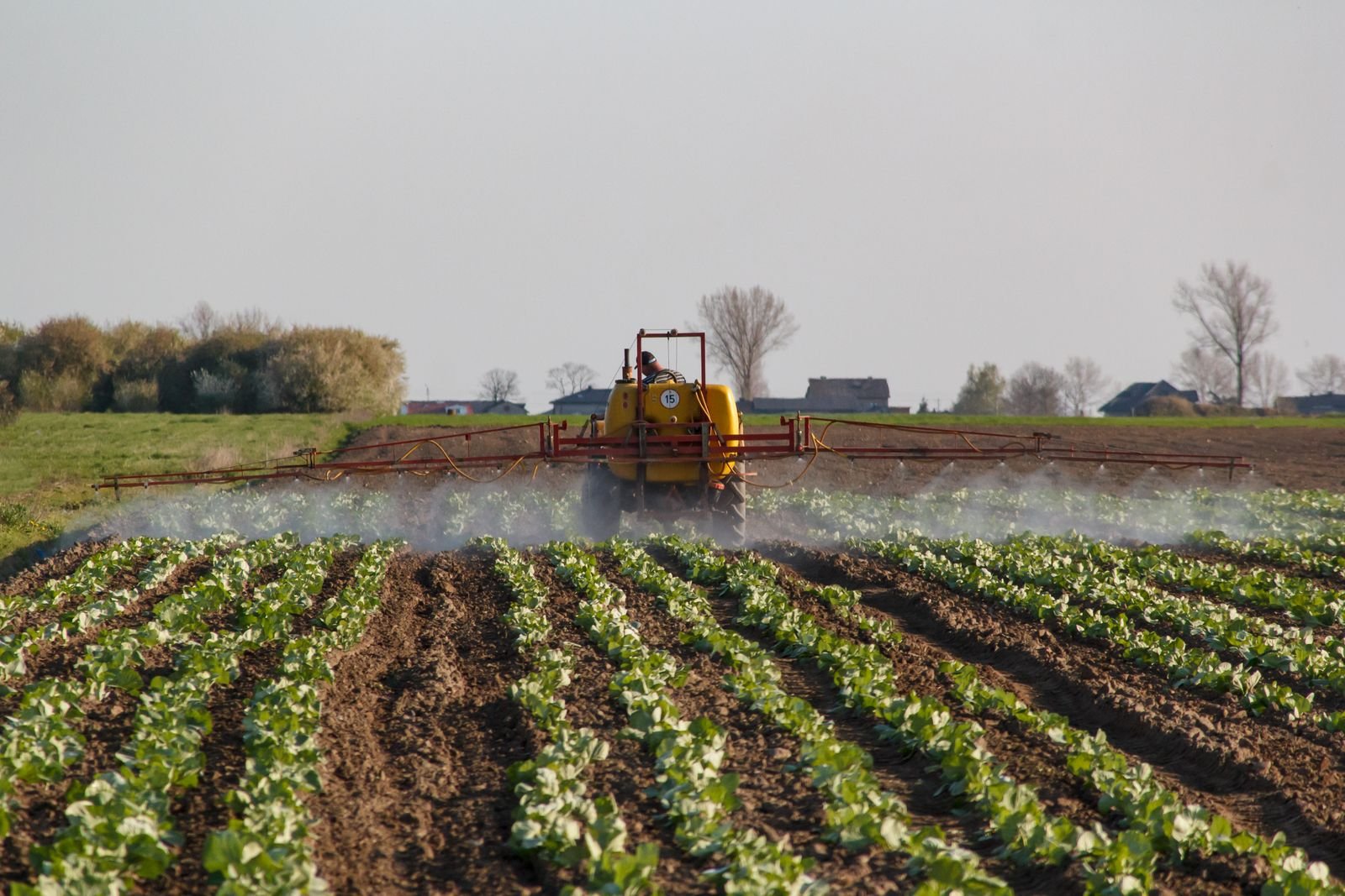 Paraquat lawsuit: tractor spraying a green farm field