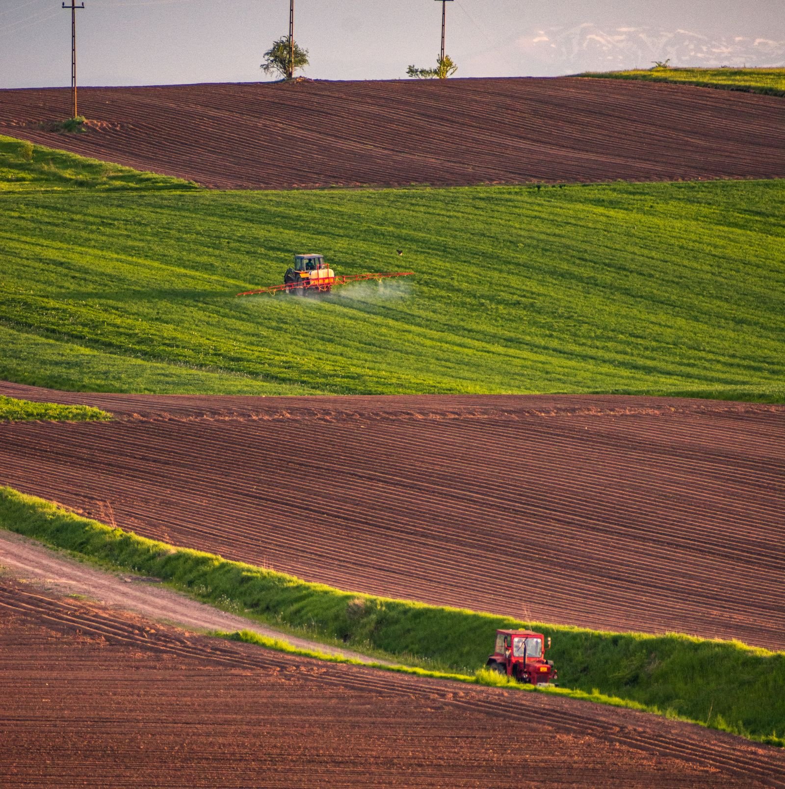 Paraquat lawsuits: tractors spraying crop fields at sunset across green and plowed farmland