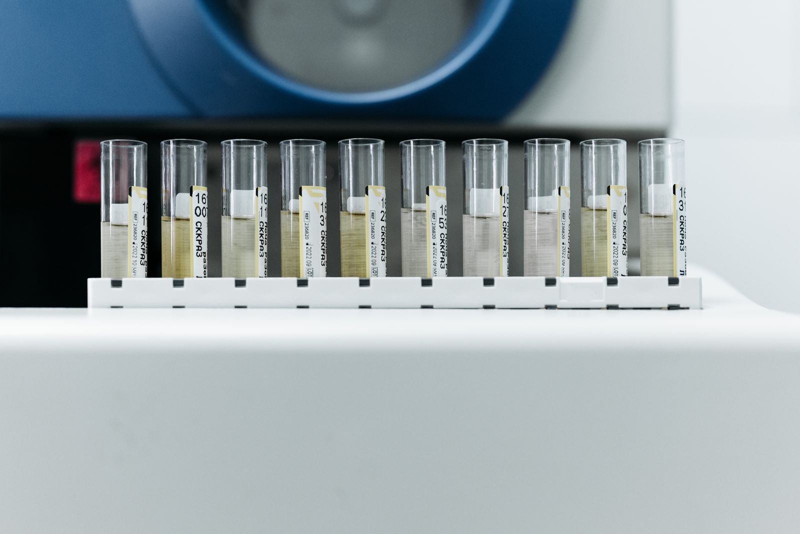 Roundup science: row of labeled test tubes on a rack in a laboratory