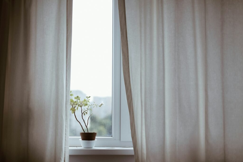 Maryland detention center abuse: small flowering plant on a sunny windowsill beside a sheer curtain