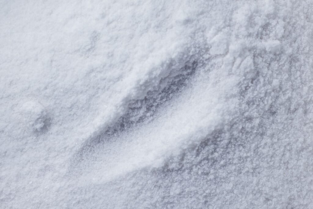 J&J talc settlement: close-up macro view of fine white powder
