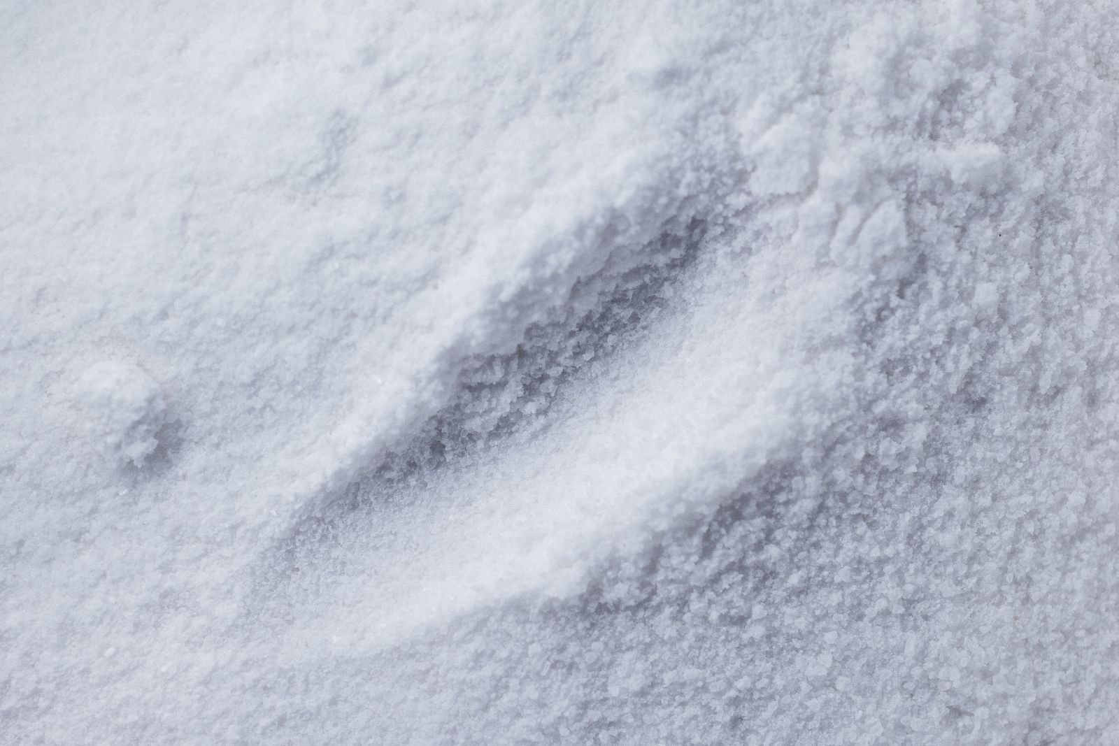J&J talc settlement: close-up macro view of fine white powder