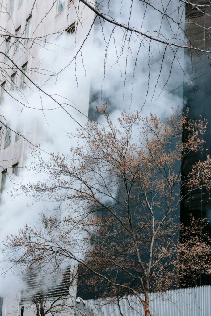 Wildfire smoke and ash health risks: city building and bare tree branches obscured by a haze of smoke