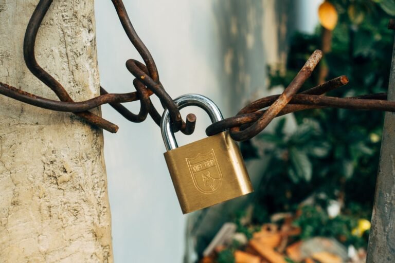 Roblox grooming lawsuit: brass padlock securing a weathered wire fence