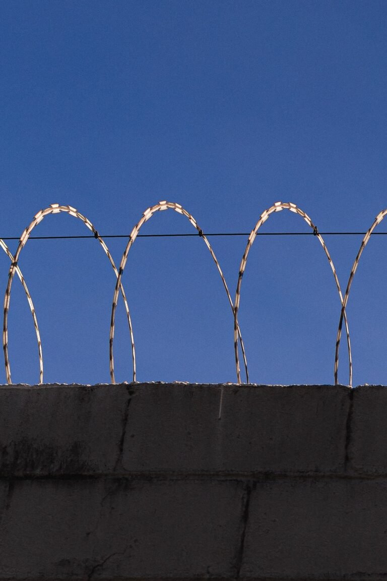 CIW abuse claims: razor wire coiled along the top of a concrete wall under a clear blue sky
