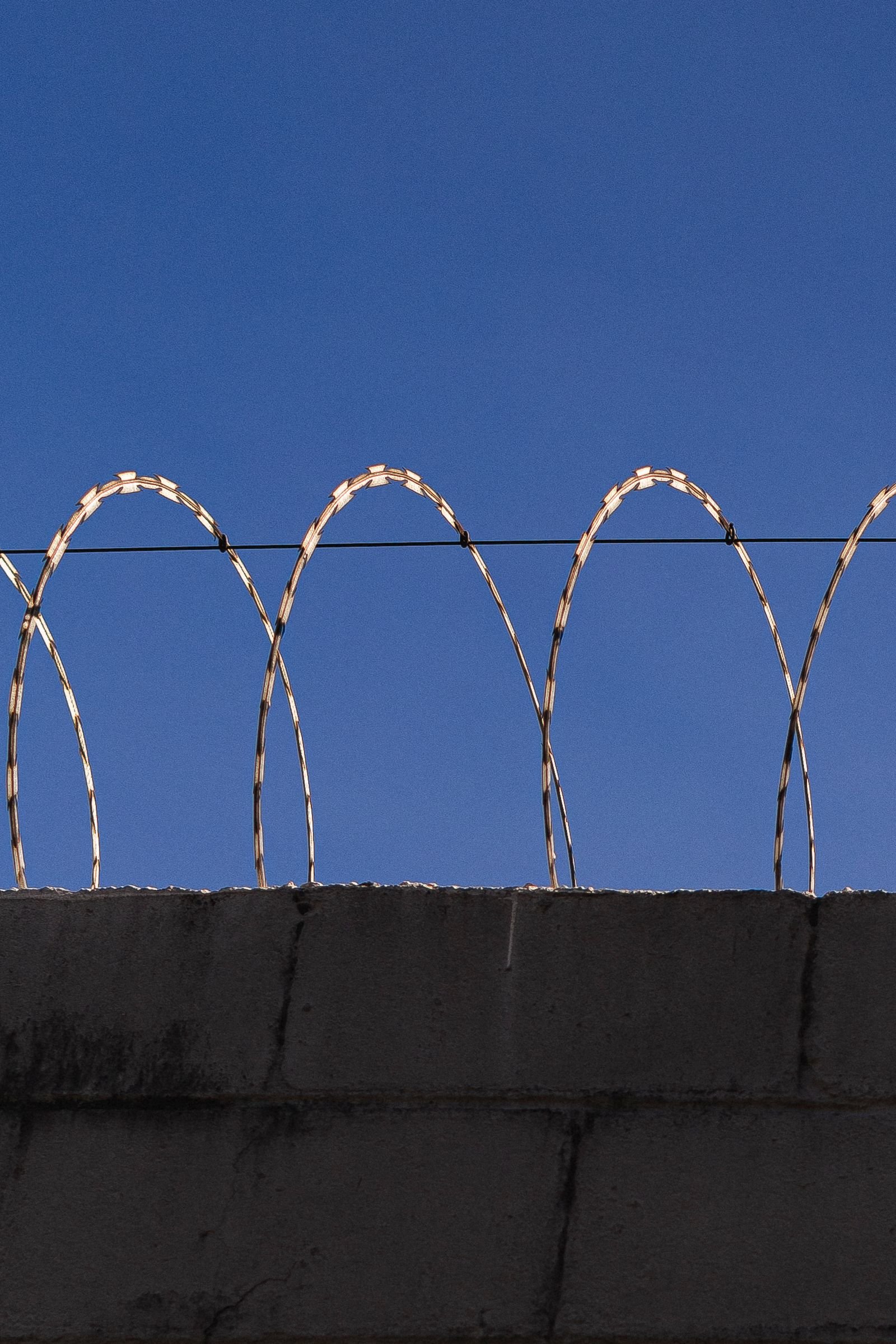 CIW abuse claims: razor wire coiled along the top of a concrete wall under a clear blue sky