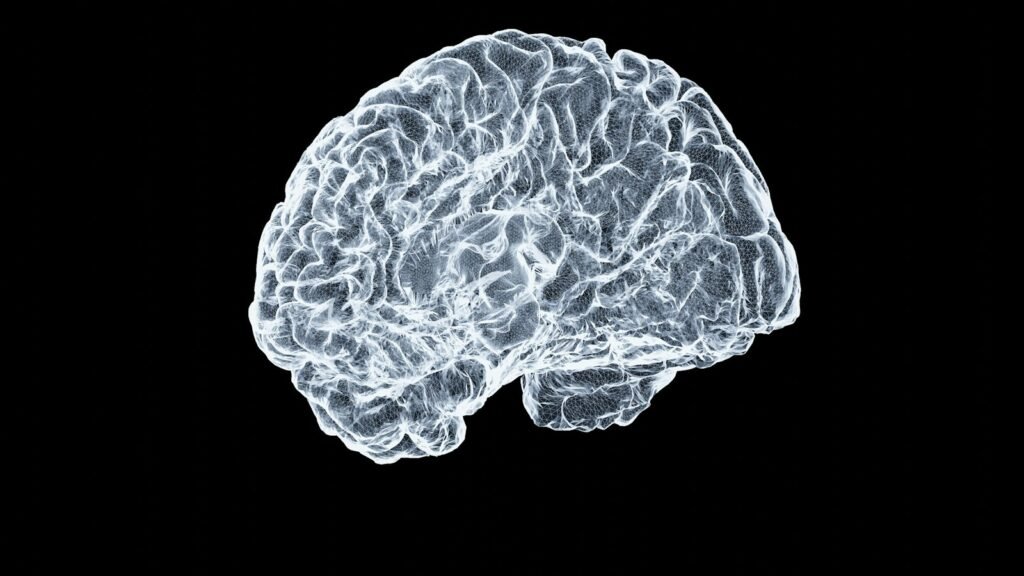 Close-up model of a human brain on a dark background, illustrating meningioma claims in Depo-Provera lawsuits
