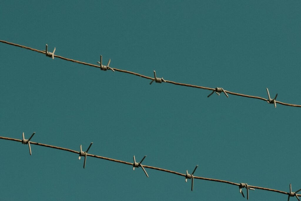 Barbed wire against a blue sky, reflecting the prison setting behind every CIW sexual abuse claim