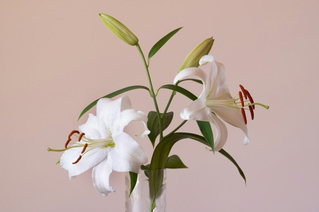 Final expense claim denied: white lilies in a clear glass vase, a quiet sympathy setting