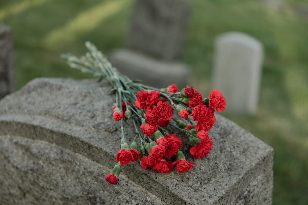 Red carnations resting on a headstone in a quiet cemetery