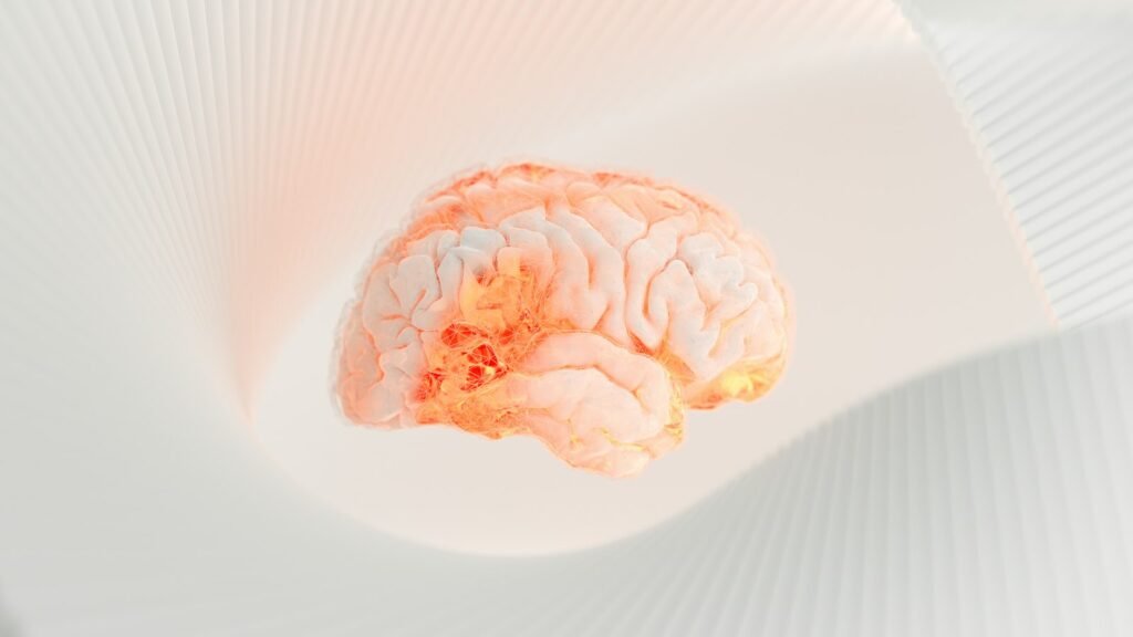 Illustration of a human brain, representing where Depo-Provera meningioma symptoms can start