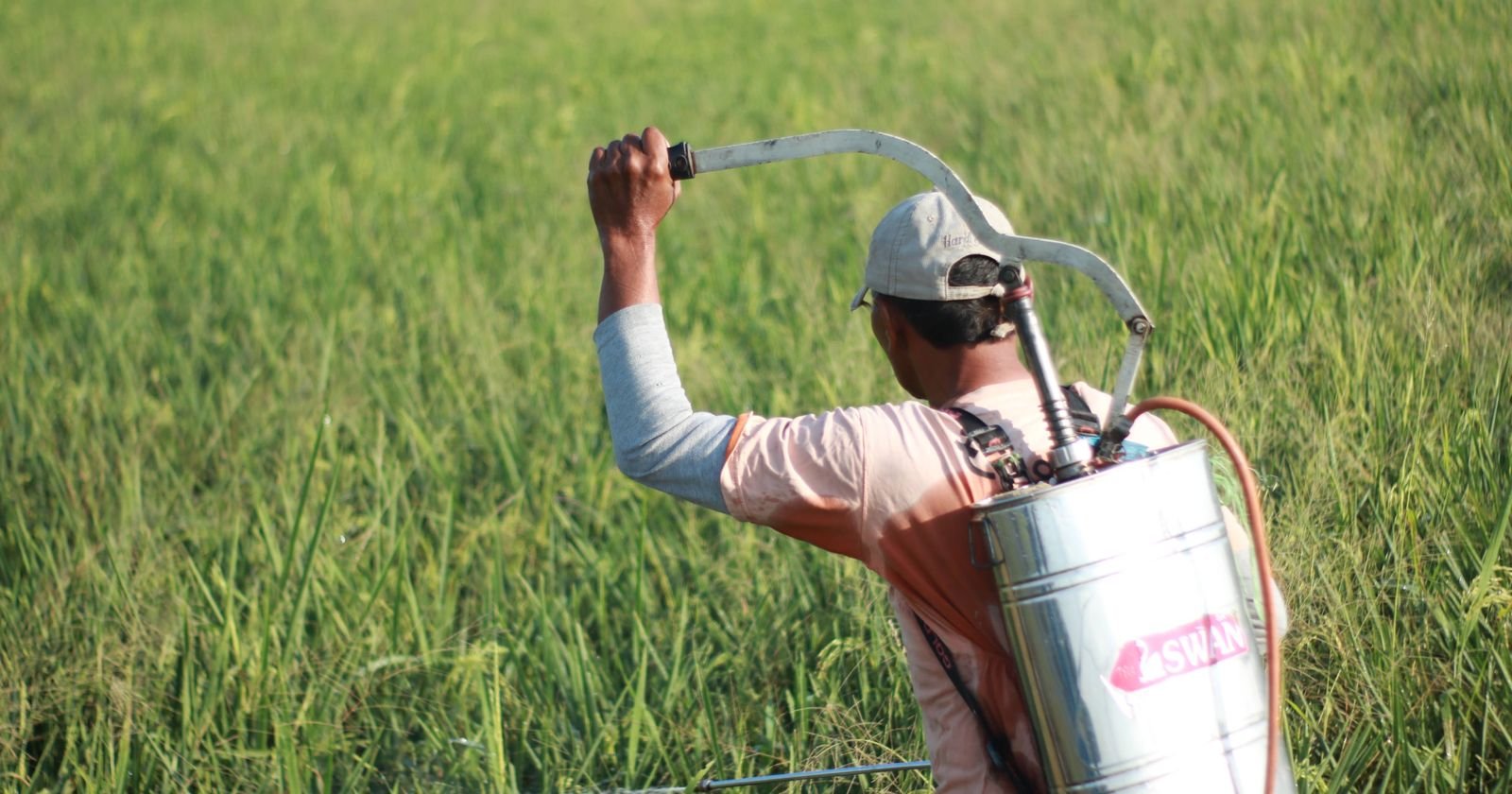 Farmer spraying a field with a backpack sprayer, illustrating proof of exposure in a paraquat exposure lawsuit