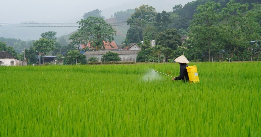 Farmer spraying herbicide in a green field, the kind of exposure behind paraquat claims