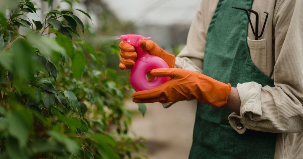 Gardener in gloves spraying weed killer on plants