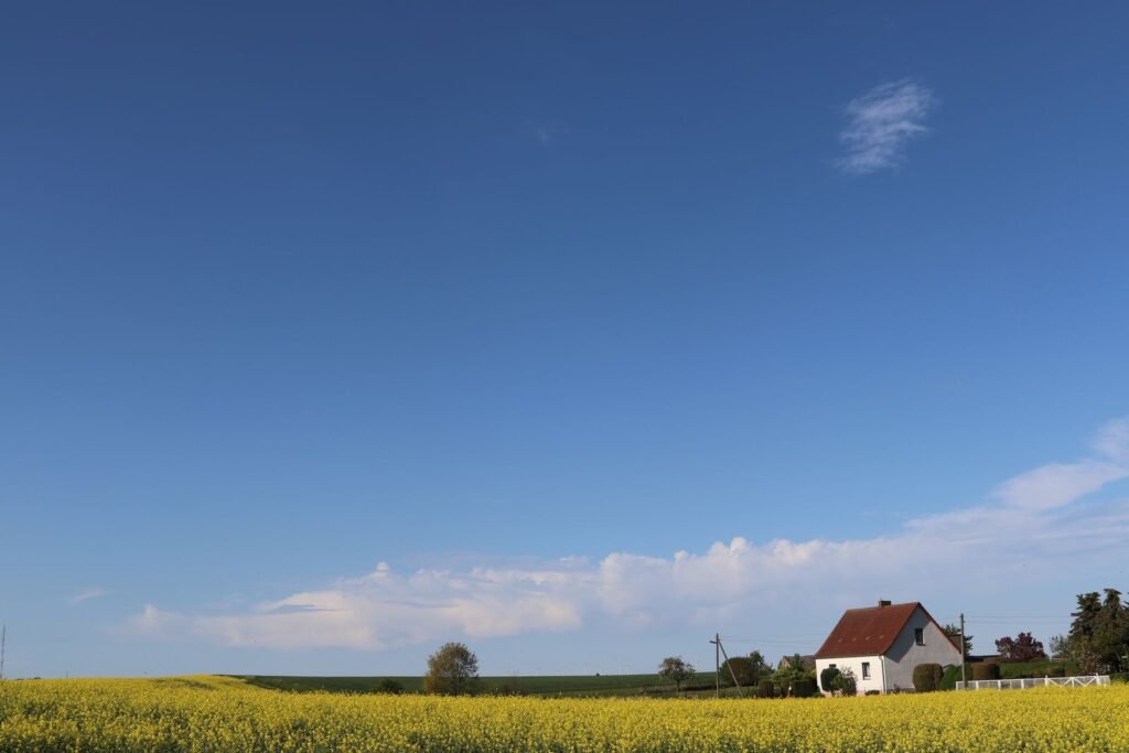 Rural house beside a farm field, the setting where chlorpyrifos exposure in children often happened